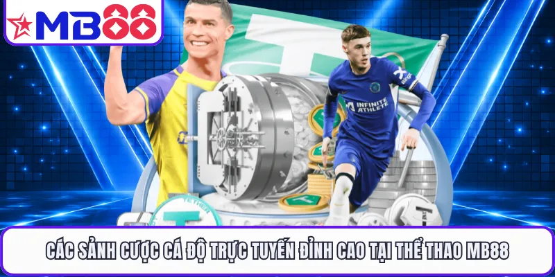 Các sảnh cược cá độ trực tuyến đỉnh cao tại thể thao MB88