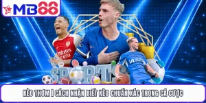 Kèo Thơm | Cách Nhận Biết Kèo Chuẩn Xác Trong Cá Cược